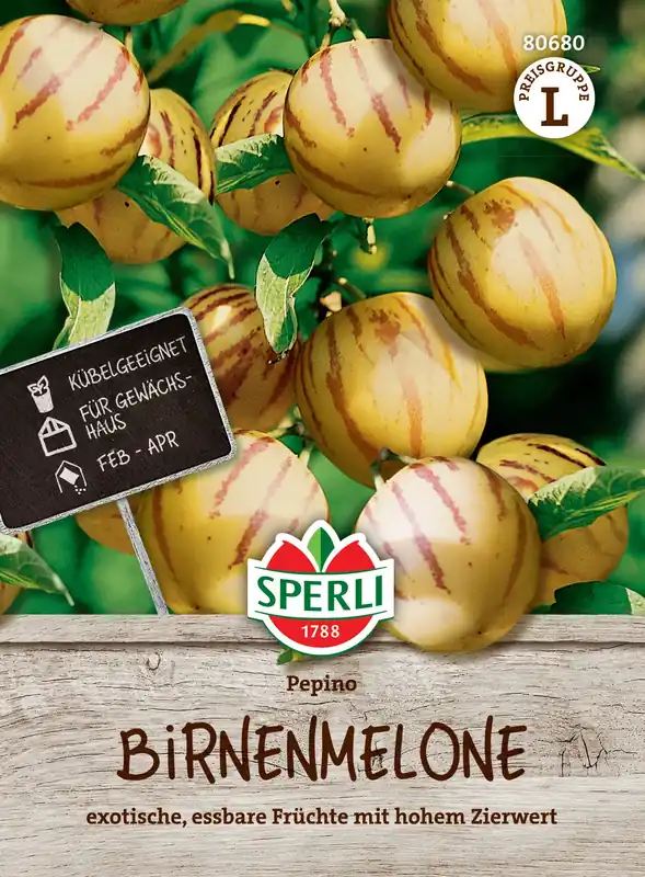 Sperli Pepino | Uitverkoop