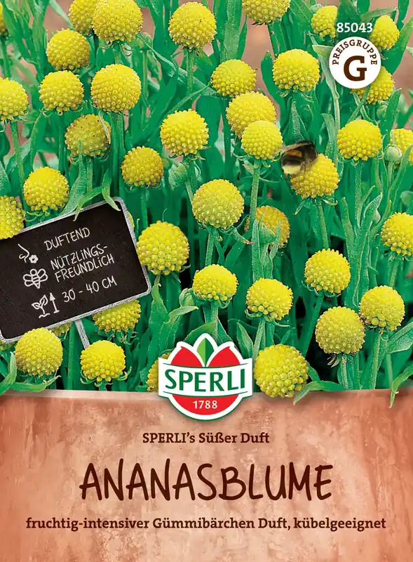 Prijsverlaging - Sperli Ananasbloem "Sperli‘s Süßer Duft"