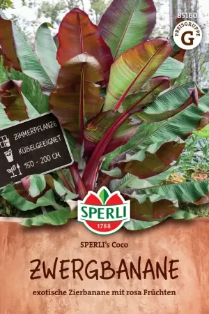 Hoge kwaliteit | Sperli Dwergbanaan "Sperli‘s Coco"