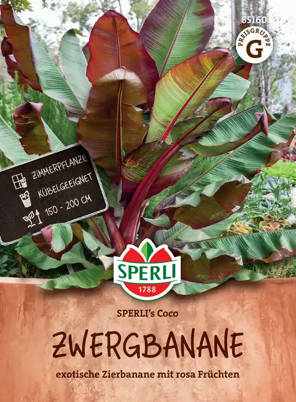 Hoge kwaliteit | Sperli Dwergbanaan "Sperli‘s Coco"