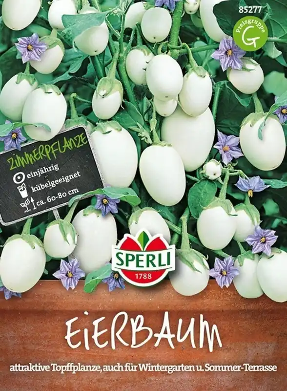 Sperli Sieraubergine Eierboom - Direct bestellen