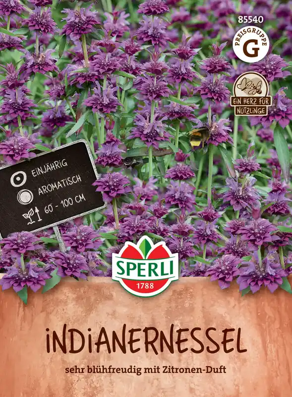 Sperli Bergamotplant | Speciale deal