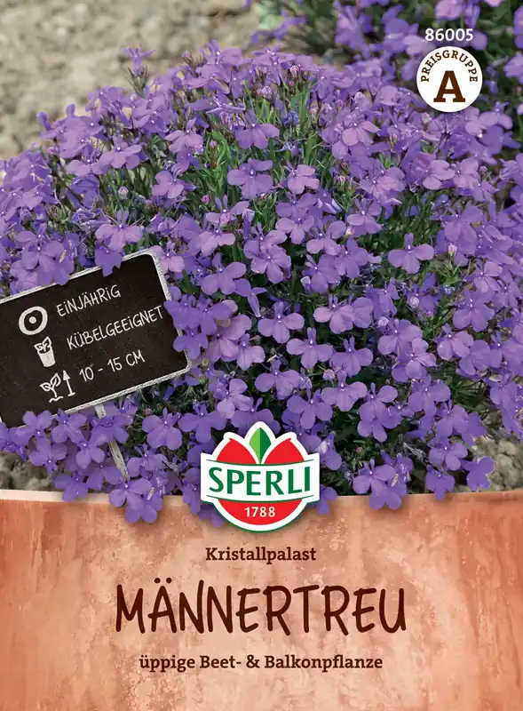 Sperli Männertreu "Sperli‘s Tiefblauer Kristallpalast" | Scherp geprijsd