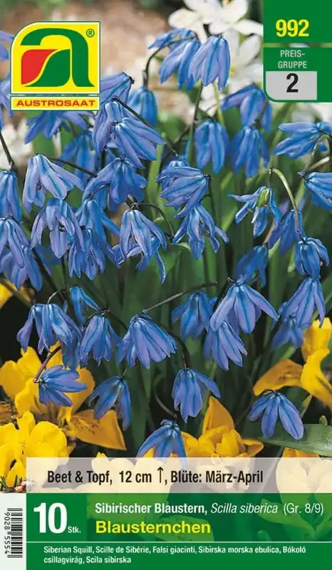 Fabrieksprijs | AUSTROSAAT Sterhyacint Blausternchen, 10 Uien