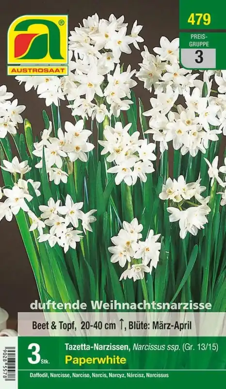 AUSTROSAAT Tazetta-Narcissen Paperwhite, 3 Uien | Aanbieding