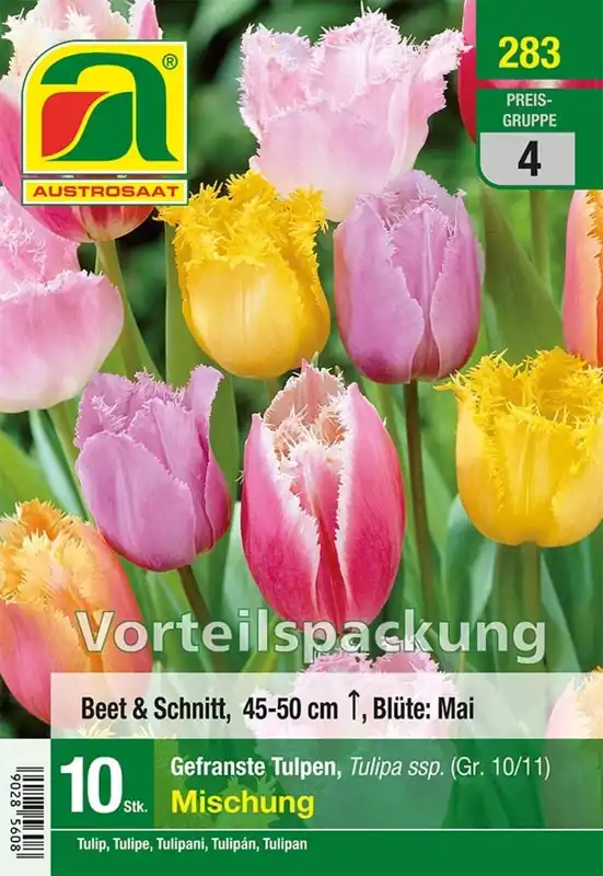 AUSTROSAAT Gefranjerde Tulpen Mix, 10 Uien | Nu beschikbaar