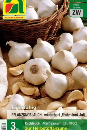 Wees er snel bij | AUSTROSAAT Knoflook voor herfstbeplanting, 3 stuks