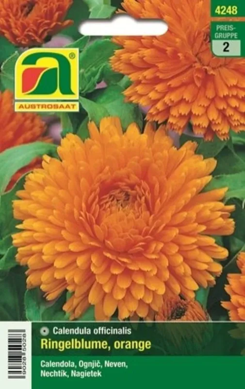 AUSTROSAAT Goudsbloem "Calendula Balls Orange" | Voordelig