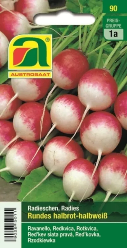 AUSTROSAAT Ronde Radijs, Half-Rood-Half-Wit | Actieprijs