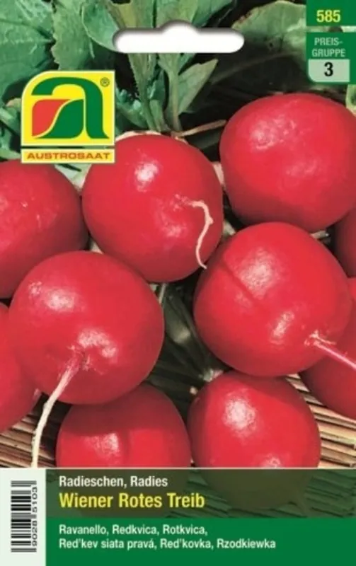AUSTROSAAT Radijs Wiener Rotes Treib | Dagdeal