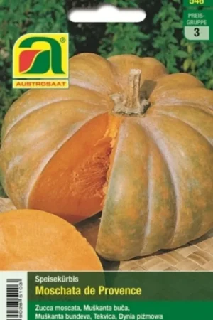 Veel voordeel | AUSTROSAAT Pompoen Moschata de Provence