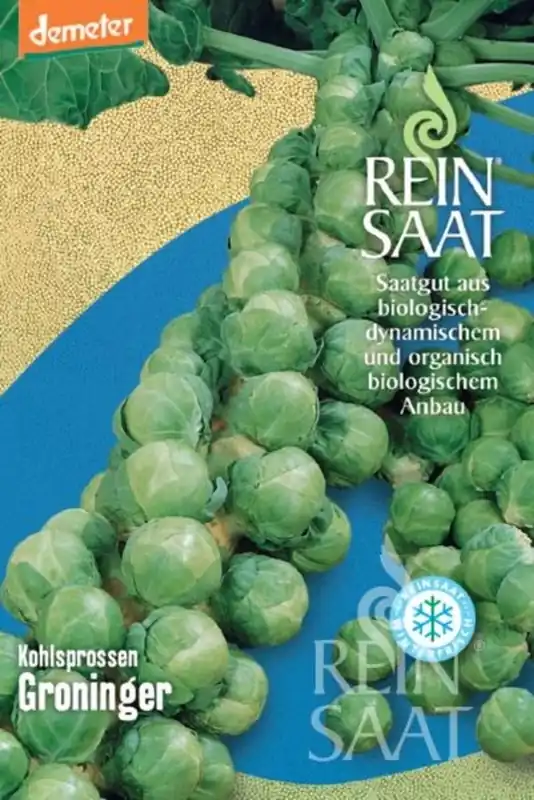 Snelle levering - ReinSaat Spruitjes "Groninger"