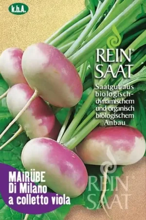 Rechtstreeks van de fabrikant - ReinSaat Knoolraap - Di Milano a colletto viola