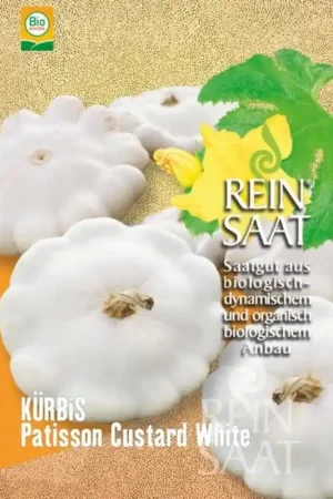 Zojuist toegevoegd - ReinSaat Pompoen "Patisson Custard White"