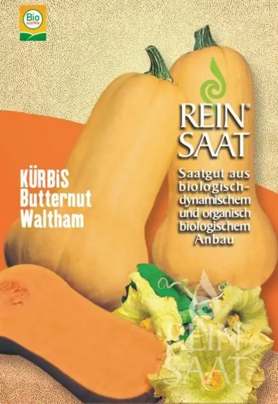 ReinSaat Pompoen - Butternut Waltham - Bestseller
