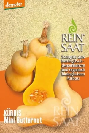 Topkwaliteit | ReinSaat Pompoen "Mini Butternut"