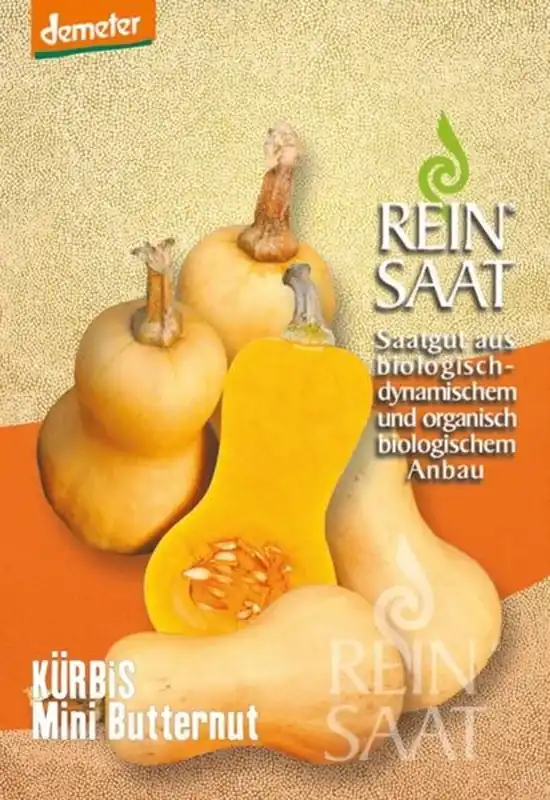 Topkwaliteit | ReinSaat Pompoen "Mini Butternut"