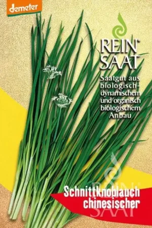 ReinSaat Chinese Bieslook | Klantfavoriet