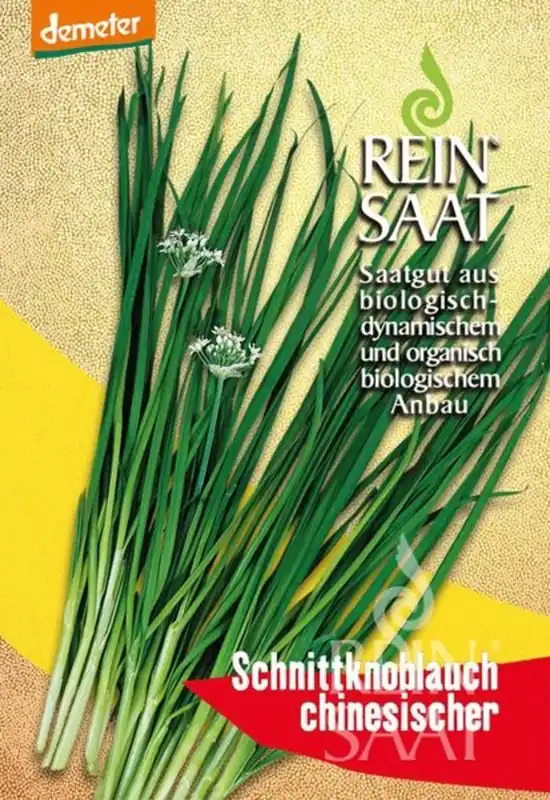 ReinSaat Chinese Bieslook | Klantfavoriet