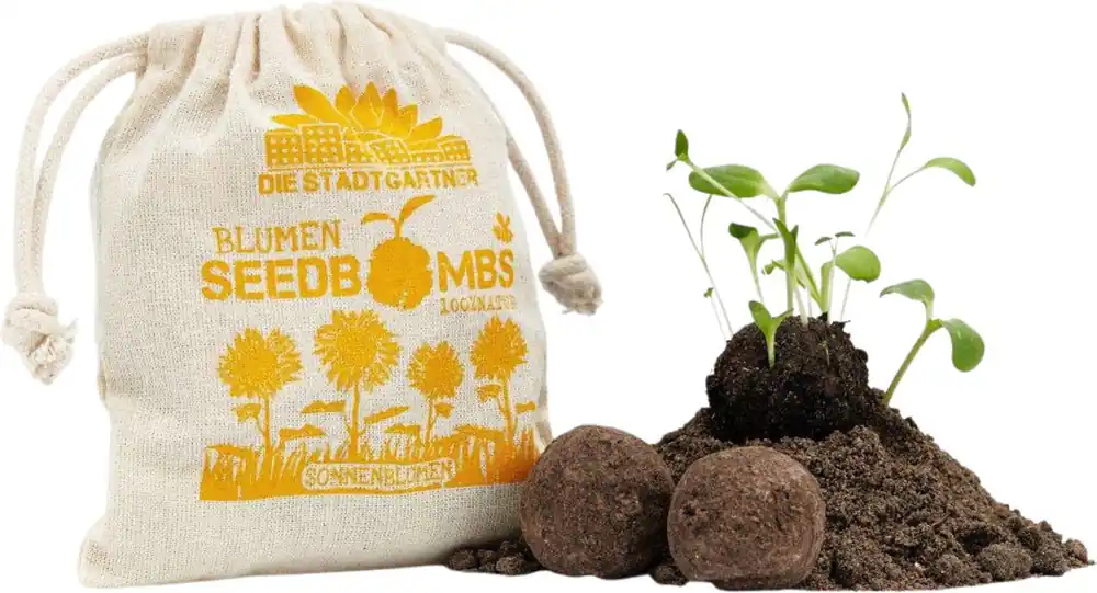 Die Stadtgärtner Zonnebloem Zaadbommen, 8 stuks - Bestel nu