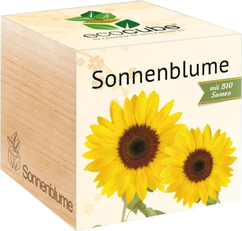 Feel Green ecocube Zonnebloem, Zonnebloem - Nieuw in het assortiment