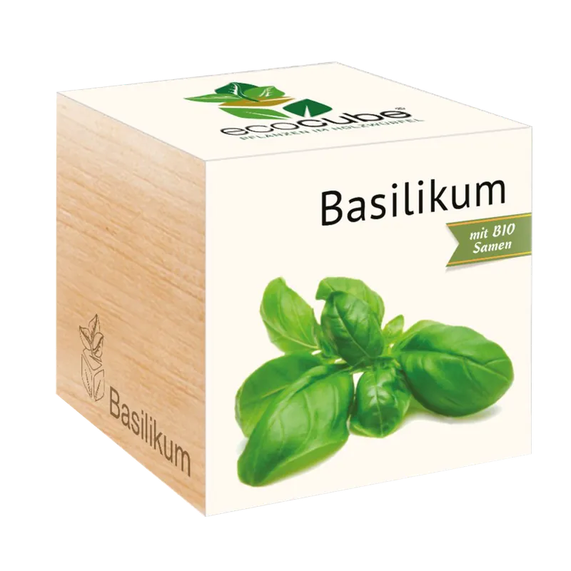 Feel Green ecocube Kruiden, Klimkers - Voordelig