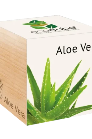 Feel Green ecocube Exotics, Aloë Vera | Aanbieding