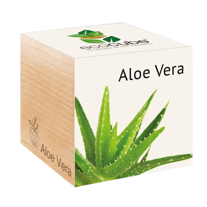 Feel Green ecocube Exotics, Aloë Vera | Aanbieding