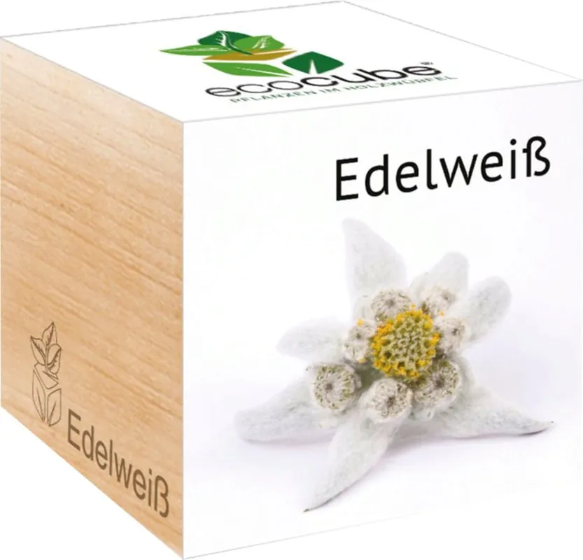 Rechtstreeks uit de fabriek | Feel Green ecocube Edelweiss, Origineel Edelweiss