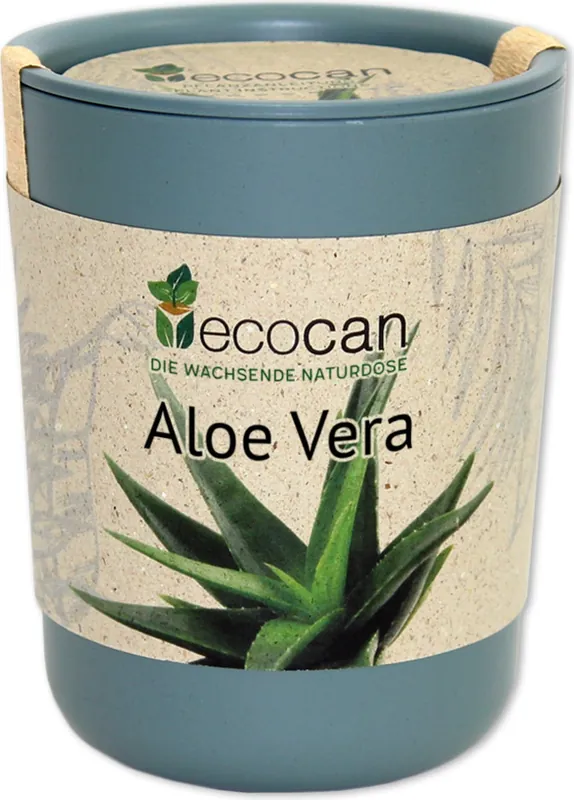 Klaar voor verzending - Feel Green ecocan Exotics, Reuze Bamboe