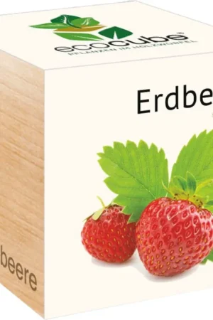 Feel Green ecocube Aardbei, Aardbei | Klantfavoriet