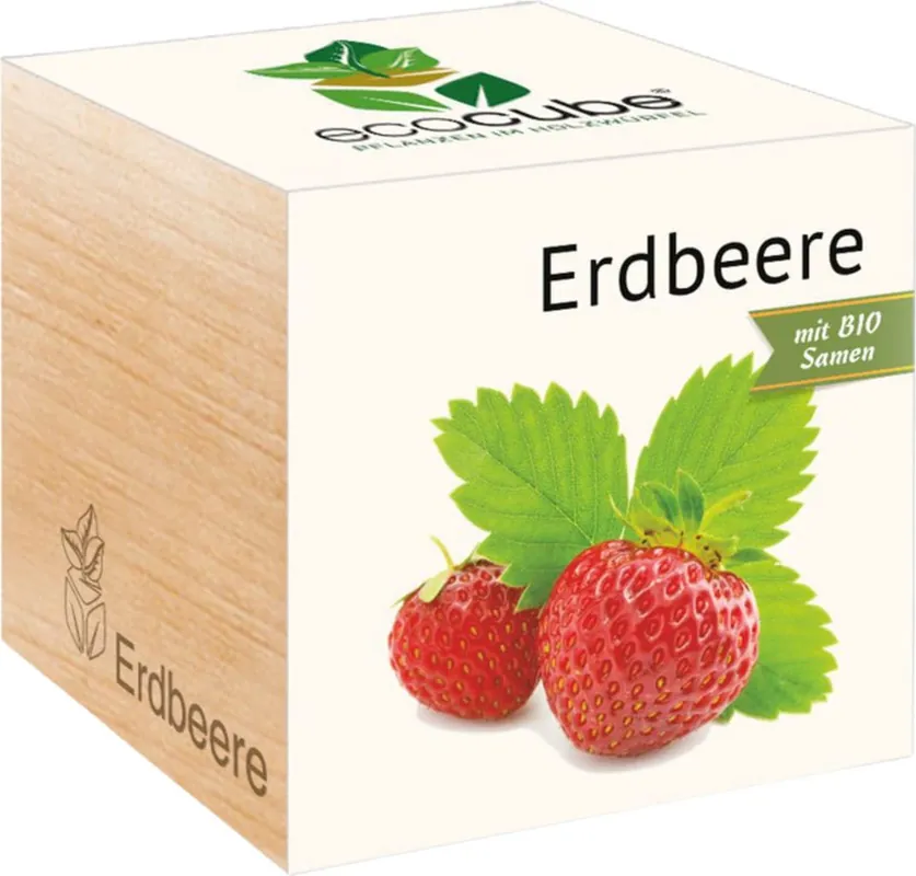 Feel Green ecocube Aardbei, Aardbei | Klantfavoriet
