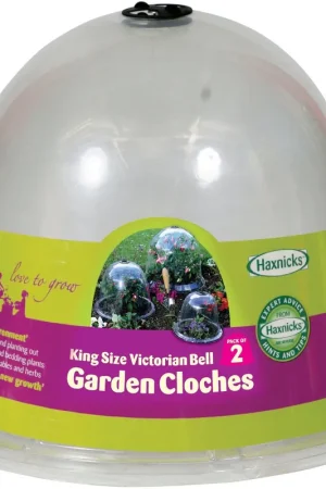 Hoge kwaliteit - Haxnicks Victoriaanse "King Size" Kweekstolp, 2 stuks