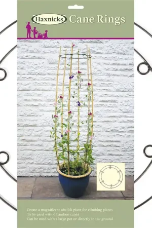 Deal | Haxnicks Klimhulp voor Vaste Planten, 2 stuks