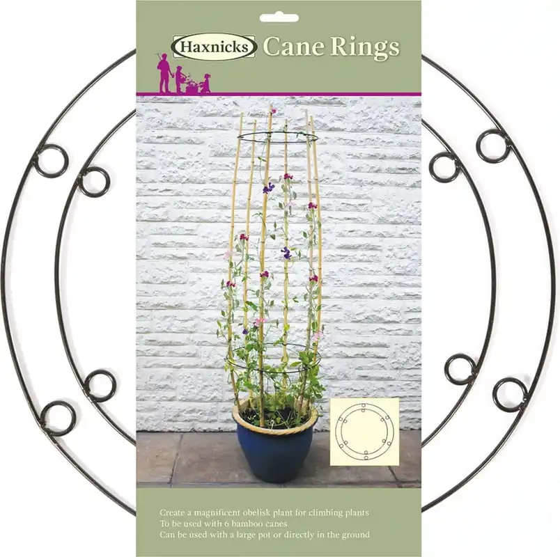 Deal | Haxnicks Klimhulp voor Vaste Planten, 2 stuks