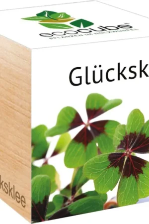 Premiumkwaliteit | Feel Green ecocube Geluksklaver, Geluksklaver