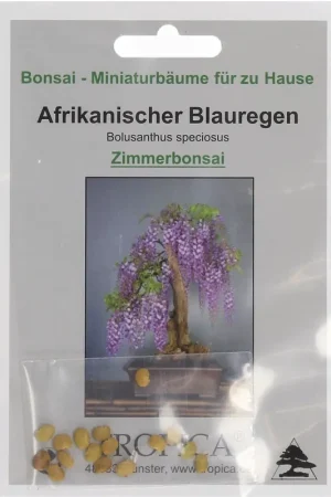 TROPICA Afrikaanse Blauweregen, 2 g - Opruiming