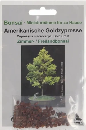 Gratis retourneren - TROPICA Amerikaanse Gele Cipres, 2 g