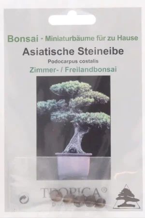 TROPICA Podocarpus Costalis, 10 Korrels - Online bestellen