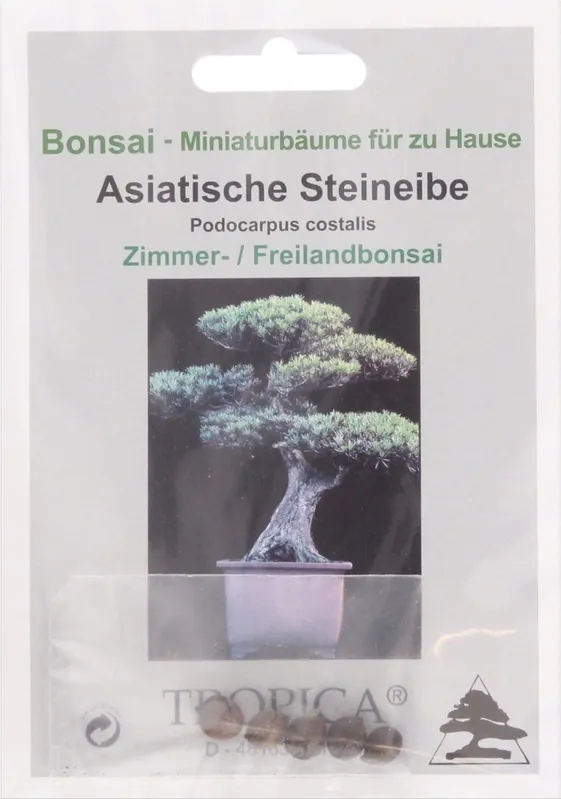 TROPICA Podocarpus Costalis, 10 Korrels - Online bestellen