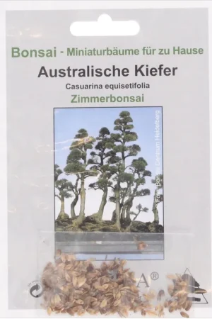 Nieuw in het assortiment - TROPICA Australische Pijnboom, 100 Korrels