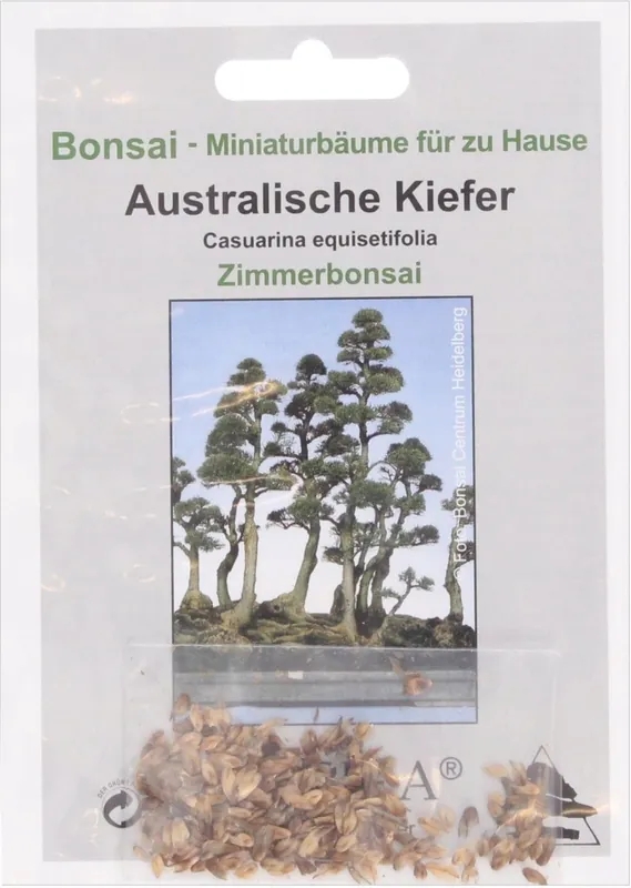 Nieuw in het assortiment - TROPICA Australische Pijnboom, 100 Korrels