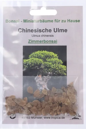 Nieuw - TROPICA Chinese Iep