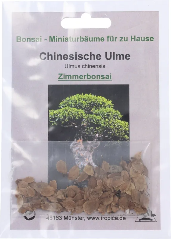 Nieuw - TROPICA Chinese Iep