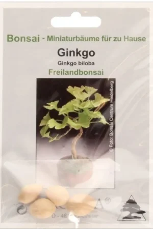 TROPICA Ginkgo, 4 Korrels | Bespaar meer