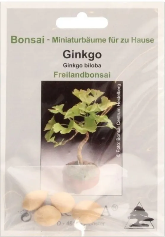 TROPICA Ginkgo, 4 Korrels | Bespaar meer