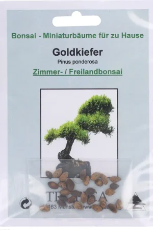 Nieuw binnen - TROPICA Goudspar