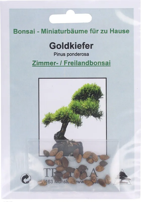 Nieuw binnen - TROPICA Goudspar