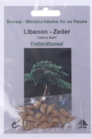 Bestseller | TROPICA Libanon - Ceder