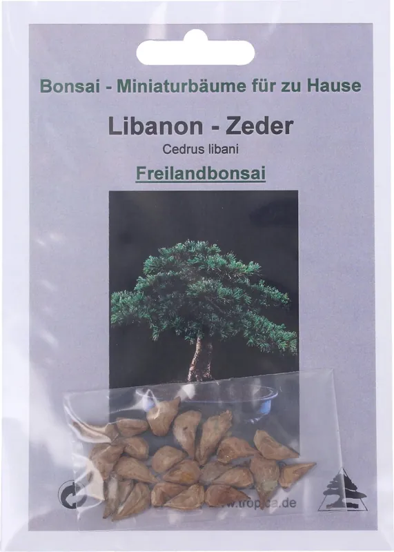 Bestseller | TROPICA Libanon - Ceder